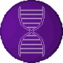 A-Gene A-Gene Upgrade